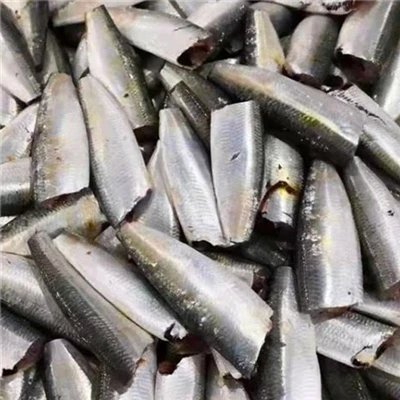 সার্ডিনের পরিচিতি